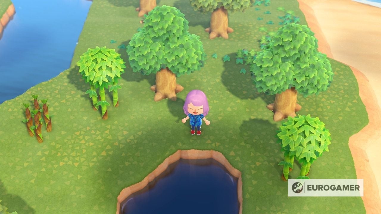 Animal Crossing Bamboo How to get Bamboo Pieces, Bamboo Shoots and Young Spring Bamboo in New